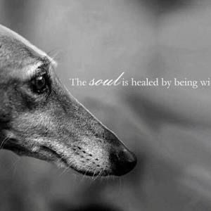 Meet your Posher, Lynnae